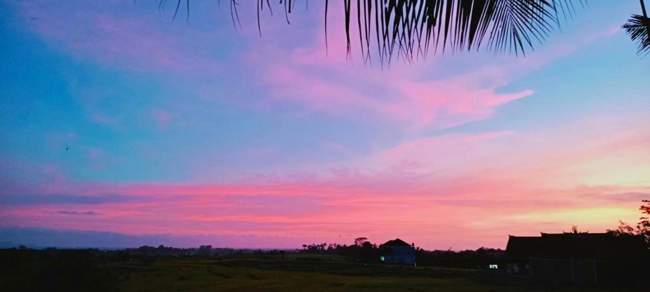 קנגו 37 Sunset Village Bali מראה חיצוני תמונה